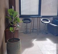 Innenraum einer 2-Zimmer-Wohnung mit Barhockern, Tisch und Blumentopf.