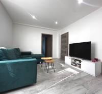 Wohnzimmer in einer 2-Zimmer-Wohnung mit Sofa, Fernseher, Tisch und minimalistischem Interieur.