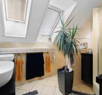 Badezimmer in einem Einfamilienhaus mit Waschbecken, Dachfenster, Dusche und Zimmerpflanze.