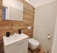 Badezimmer in einer 2-Zimmer-Wohnung mit Holz- und Keramikverkleidungen, mit Waschbecken und Toilette.