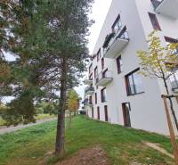 Wohnhaus in der Jilemnického-Straße in Svit, neben Grünflächen und Bäumen.