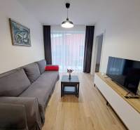 Wohnzimmer mit Sofa, Tisch und Fernseher in einer Zweizimmerwohnung.