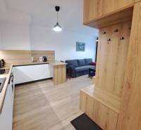 Küche mit Wohnzimmer in einer 2-Zimmer-Wohnung, die Ausstattung umfasst Holzböden und Wandschränke.