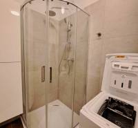 Duschkabine und Waschmaschine im Badezimmer einer Zweizimmerwohnung.
