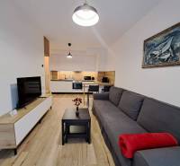 Wohnzimmer einer Zweizimmerwohnung mit Kochnische, Sofa und Fernseher.