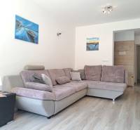 Ein 3-Zimmer-Wohnraum mit einem bequemen grauen Sofa und einem hellen Holzboden-Dekor.