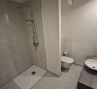 Badezimmer in einem Einfamilienhaus mit offener Dusche und Waschbecken.