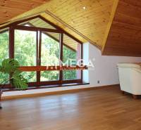 Dachzimmer mit Holzbalkendecke und großen Fenstern, helle 3-Zimmer-Wohnung mit Pflanze.