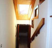 Eine Treppe mit Holzverkleidung und Dachfenster in einer 3-Zimmer-Wohnung.