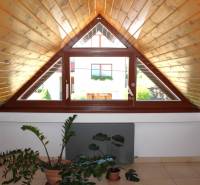 Ein Dachgeschoss aus Holz mit einem großen Fenster in einer 3-Zimmer-Wohnung, Zimmerpflanzen auf dem Boden.