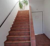 Das Innere eines Gebäudes mit braunen Treppen und einer Pflanze an der Wand.