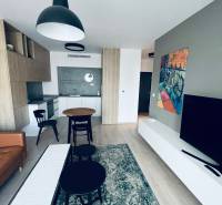 Wohnbereich einer 2-Zimmer-Wohnung mit Sofa, Tisch, Küche und Fernseher.