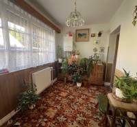Ein Zimmer in einem Einfamilienhaus mit vielen Pflanzen, einem Teppich und einem großen Fenster mit Spitzenvorhang.