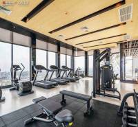 Ein Fitnessstudio mit Aussicht, ausgestattet mit Laufbändern und Kraftgeräten. Wohnungsbau.