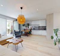 Wohnzimmer in einer 3-Zimmer-Wohnung mit großem Fenster, Esstisch und Pflanzen.