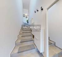 Der Flur mit Treppe in der 3-Zimmer-Wohnung hat helle Wände und dekorative Elemente.