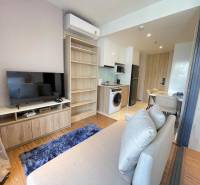 Kompakte Einrichtung einer 2-Zimmer-Wohnung mit Wohnzimmer, Küche, Sofa und Fernseher.