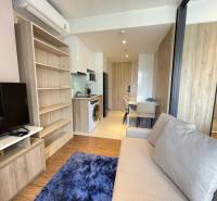 2-Zimmer-Wohnung mit Sofa, Kochnische und Esstisch, hellem Boden.