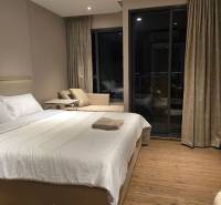Unterkunft in einer Einzimmerwohnung mit Bett, Sofa und Balkon in gedämpften Farben.