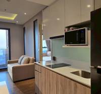 Küche in einer 3-Zimmer-Wohnung mit Sofa, Kochfeld und Mikrowelle.