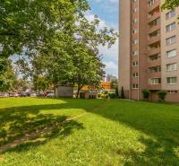Grünfläche bei dem Wohnhaus in der Medveďova-Straße, Bratislava - Petržalka, neben dem Parkplatz.