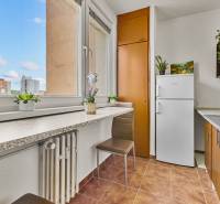 Küche mit Fenster, Bartresen, Stuhl und Kühlschrank in einem Einzimmerapartment.