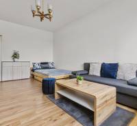 Wohnzimmer in einer Einzimmerwohnung mit Sofa, Bett und Holzmöbeln.