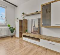 Wohnzimmer in einer Einzimmerwohnung mit Holzmöbeln und Pflanzen, helle und luftige Atmosphäre.