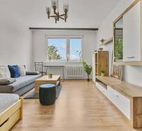 Wohnzimmer mit Sofa, Couchtisch und Schrank in einer Einzimmerwohnung.