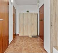 Eingangsflur in einer Einzimmerwohnung mit Holztüren und einem Kleiderschrank.