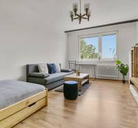 Wohnzimmer mit Sofa, Bett und Holzmöbeln in einer Einzimmerwohnung.