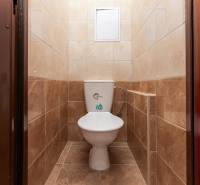 Toilette mit Keramikfliesen in einer Einzimmerwohnung.