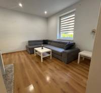 Wohnzimmer in einer 3-Zimmer-Wohnung mit Holzboden und grauem Sofa.