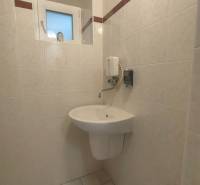 Badezimmer mit Waschbecken, Fenster und Seifenspender in einem gefliesten Bereich von Geschäftsräumen.