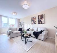 Helles Wohnzimmer in einer 3-Zimmer-Wohnung mit einem bequemen Sofa und Dekorationen.