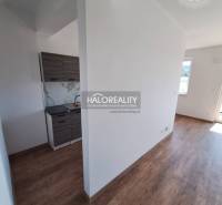 Holzboden in einer 2-Zimmer-Wohnung mit Kochnische und großem Fenster.
