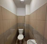 Toilette mit Waschbecken in Geschäftsräumen.