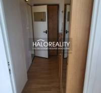 Flur in einer Einzimmerwohnung mit Eingangstür und Holzboden.