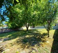 Garten in Trakovice bei einem Einfamilienhaus mit dichtem Bewuchs und Rasen.
