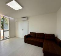 Wohnzimmer in einer Einzimmerwohnung mit Sofa, Klimaanlage und Balkon.