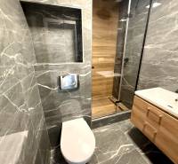 Badezimmer mit dunklen Fliesen, Duschkabine und hängendem WC in einer Einzimmerwohnung.