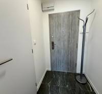 Eingangsflur mit grauen Türen und einem Bodenständer in einer Einzimmerwohnung.