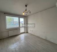 Ein geräumiges Zimmer mit Laminatboden und großen Fenstern in einer Einzimmerwohnung.