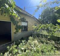 Ein Einfamilienhaus in Nové Zámky mit Kletterpflanzen an der Fassade und einem vernachlässigten Garten.