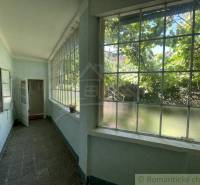 Helle Veranda eines Einfamilienhauses mit großen Fenstern und Blick auf den Garten.