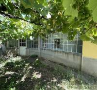 Ein Garten bei einem Einfamilienhaus in Nové Zámky mit Weinreben und einer verglasten Veranda.
