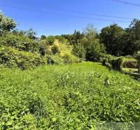 Ein Garten in Malacky mit üppiger Vegetation und klarem blauem Himmel.