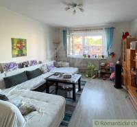 Wohnzimmer mit Sofa, Couchtisch, Fernseher und Kinderspielzeug in einem Einfamilienhaus.