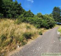 Natürlich. Das Bild zeigt eine Landstraße, die von Gras und Bäumen in den Gärten in Žarnovica umgeben ist.