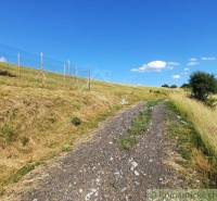 Ein Feldweg in den Gärten in Žarnovica, umgeben von grasbewachsenen Hängen und einem Zaun.
